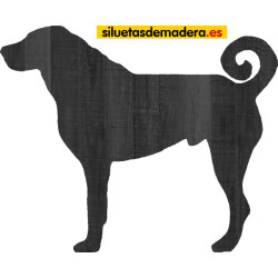 KANGAL