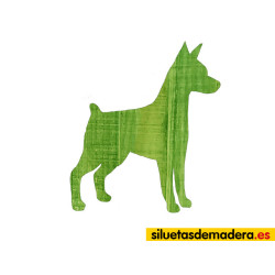 PINSCHER MINIATURA