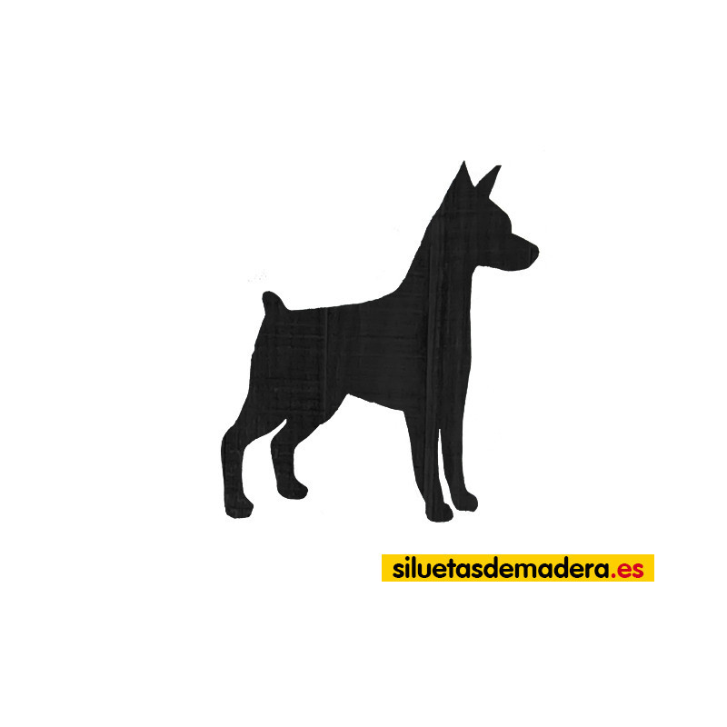 PINSCHER MINIATURA