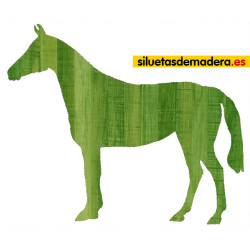 CABALLO 01 XL