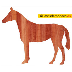 CABALLO 01 XL